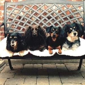 Meet your Posher, Beverly